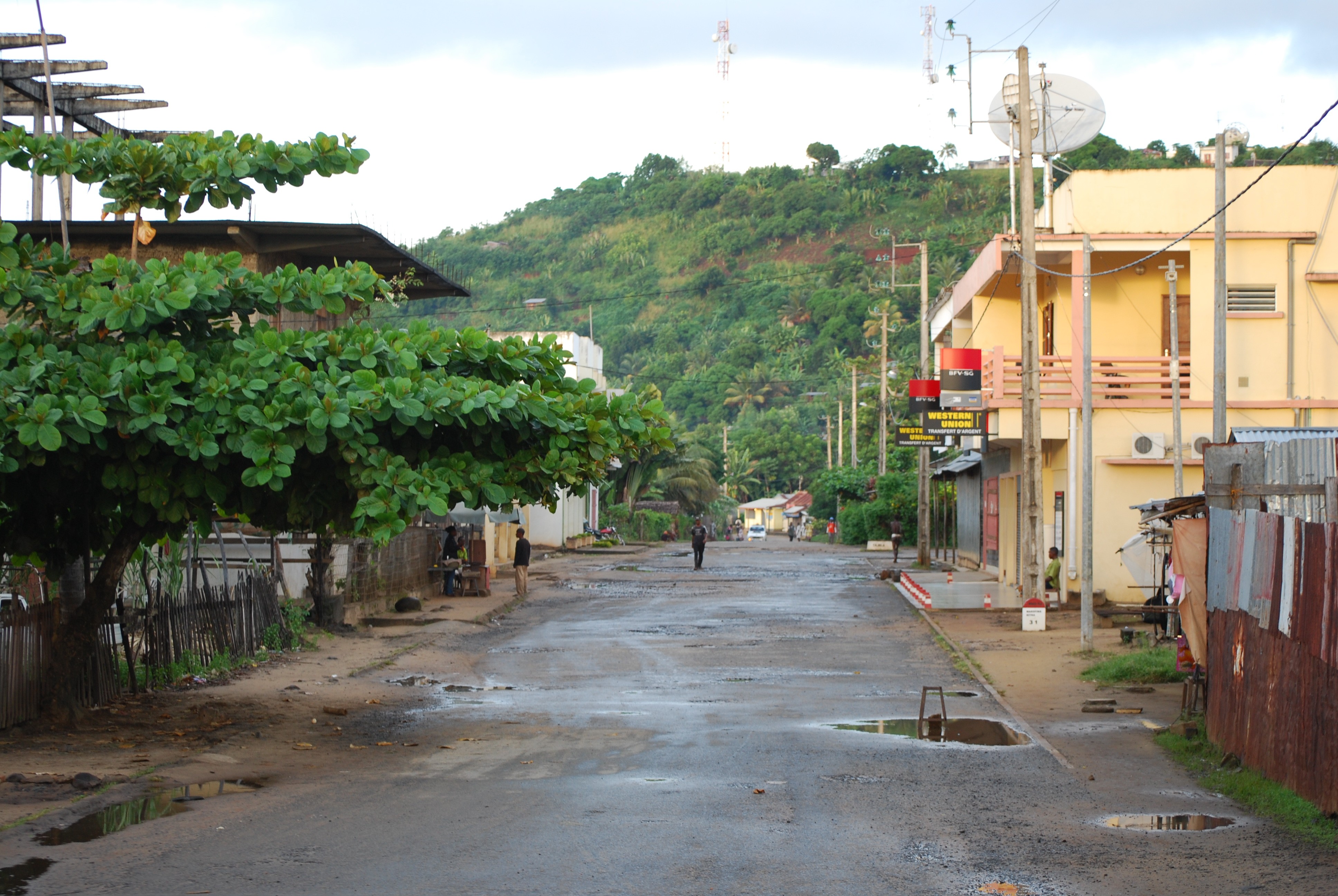Dsc 0739